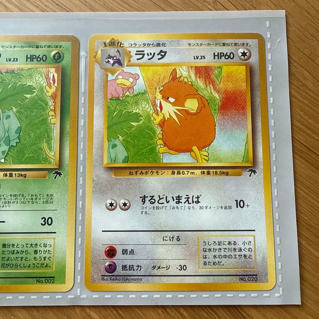 旧裏 サザンアイランド レインボーアイランド ポケモンカードゲーム