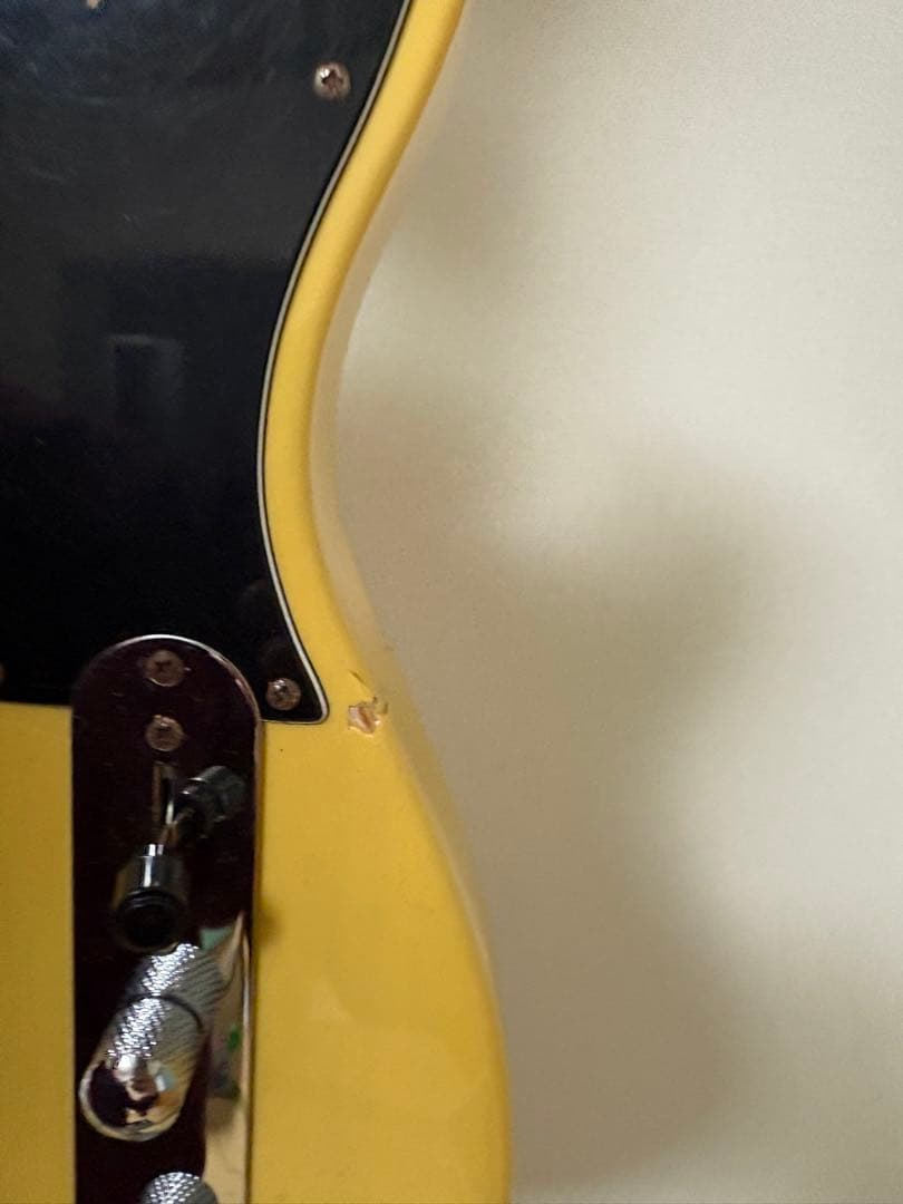 Bacchus テレキャスター ギターケース付き