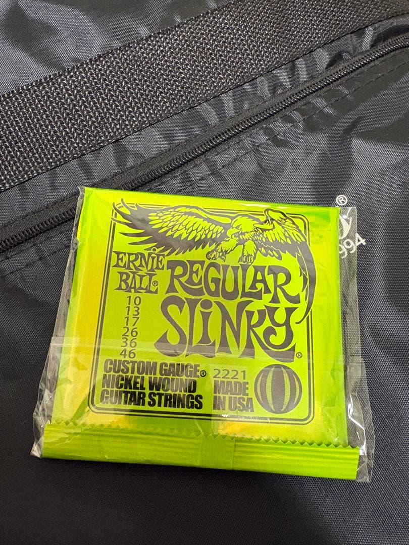 Bacchus テレキャスター ギターケース付き