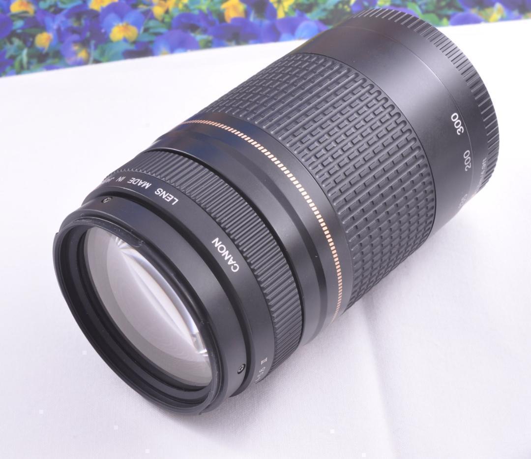 望遠レンズ Canon キヤノン 迫力の75-300mm レンズフード付き！