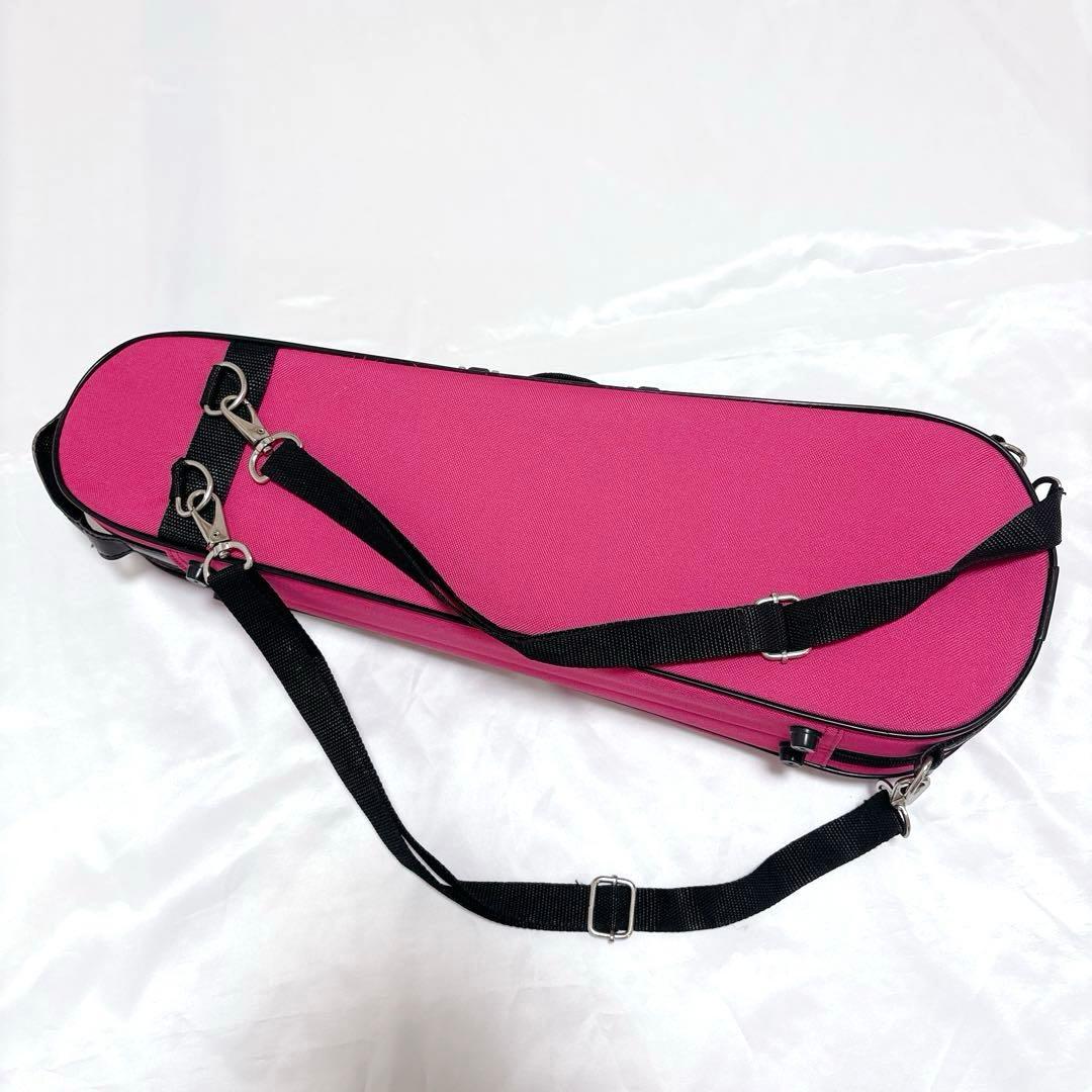 Carlo Giordano カルロジョルダーノ バイオリン VS-1 1/10