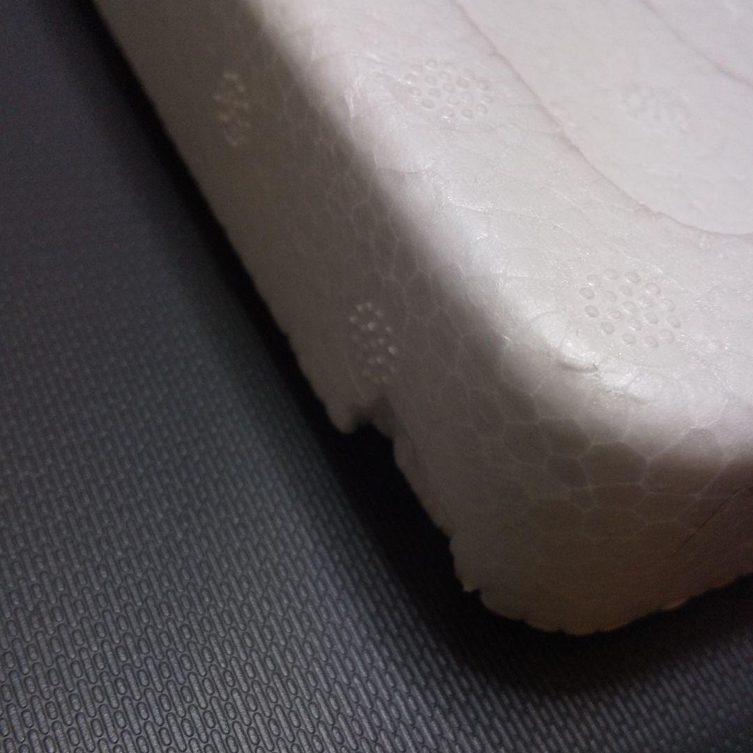 LIVE FISH サカナクション daiyama20さま