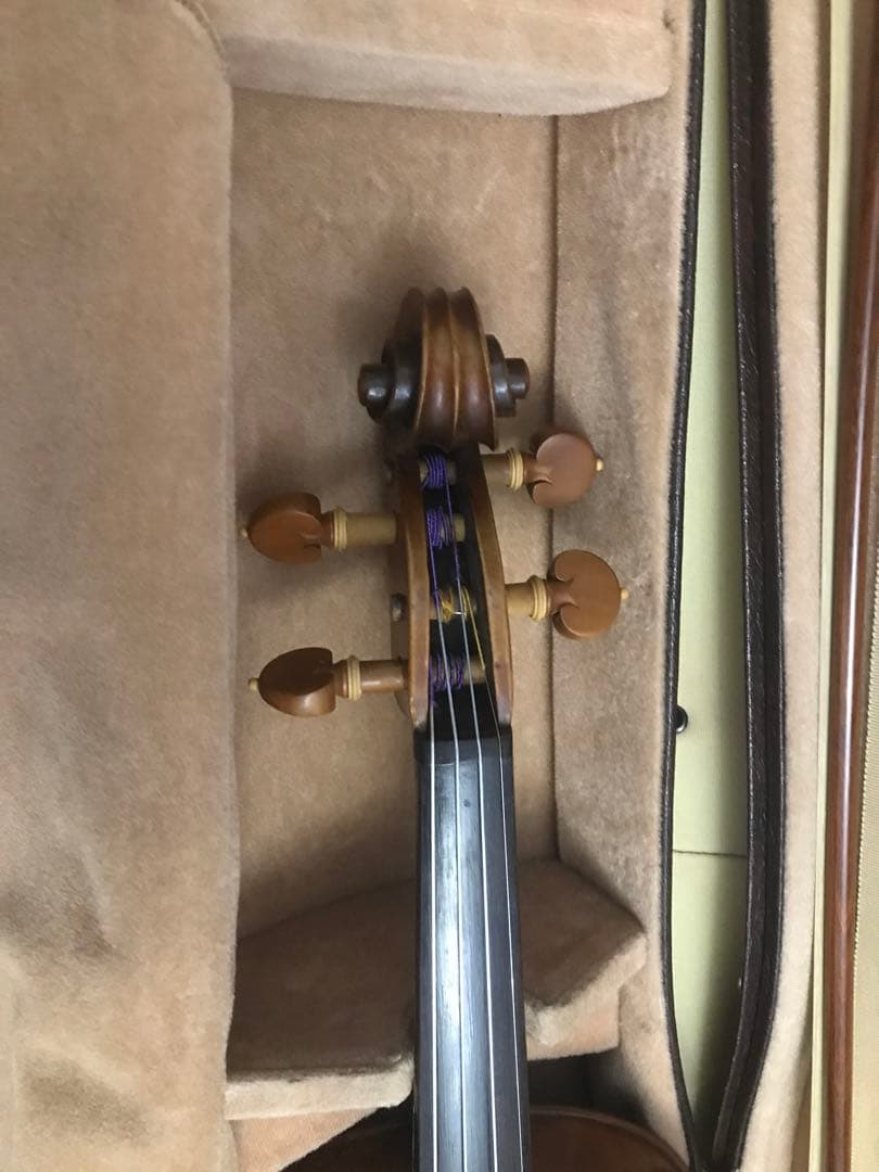 弦楽器 MASAKICCHI SUZUKI NO.5