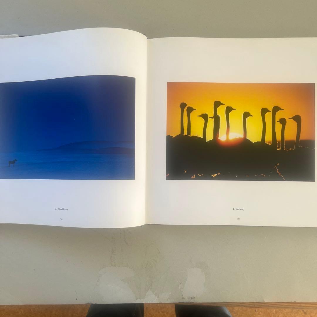 色彩の魔術師 ピートターナー写真集