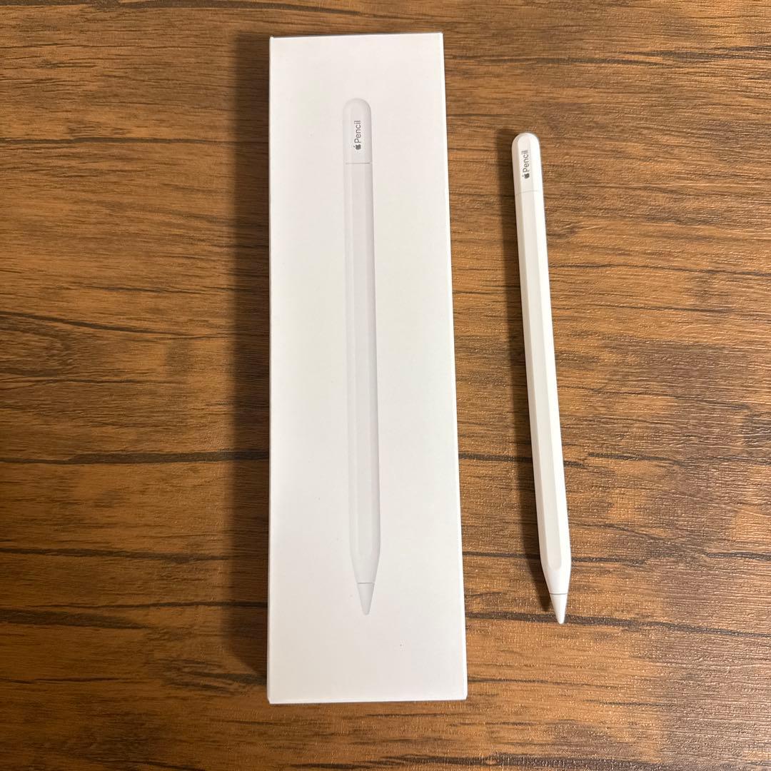 Apple Pencil (USB-C) (MUWA3ZA/A)