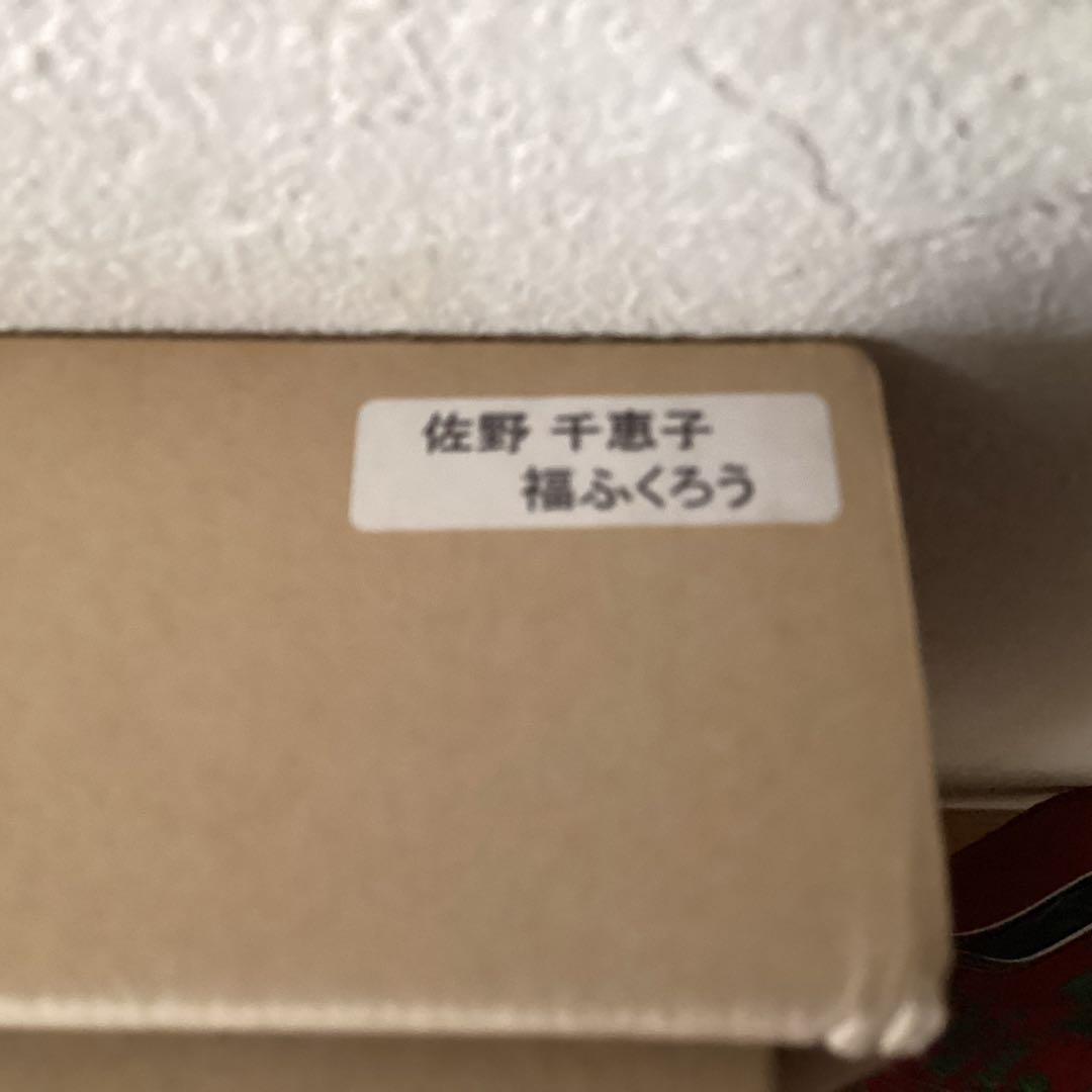 佐野千恵子　タイトル【梟　之　図】　新額装　直筆サイン有り　　真作保証　A A