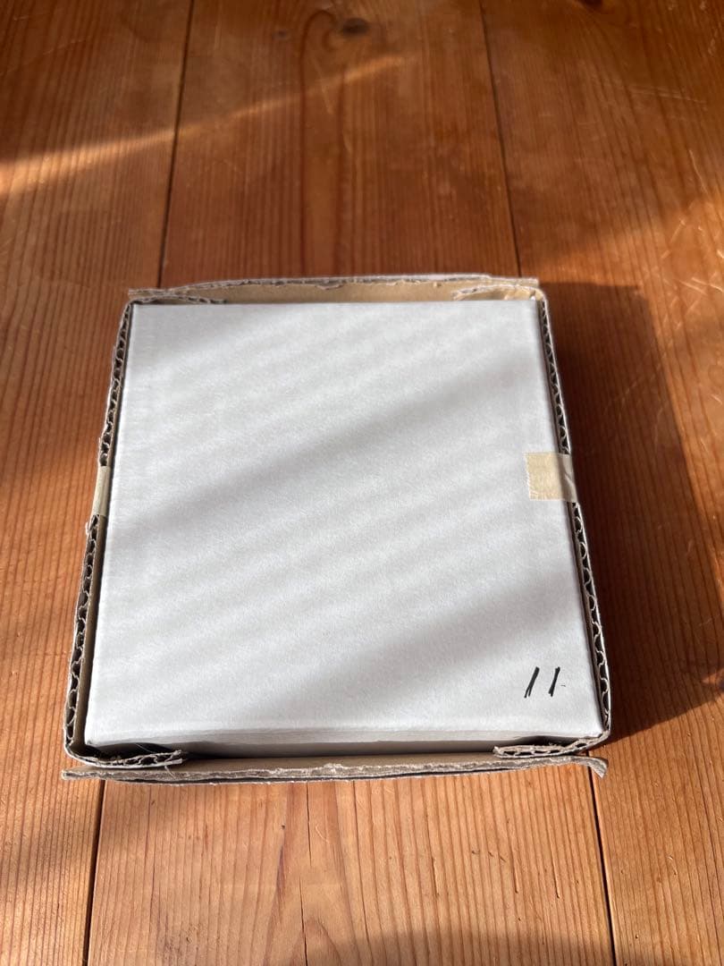 イリヤ・クブシノブ 限定ペン画作品 (Ilya Kuvshinov)