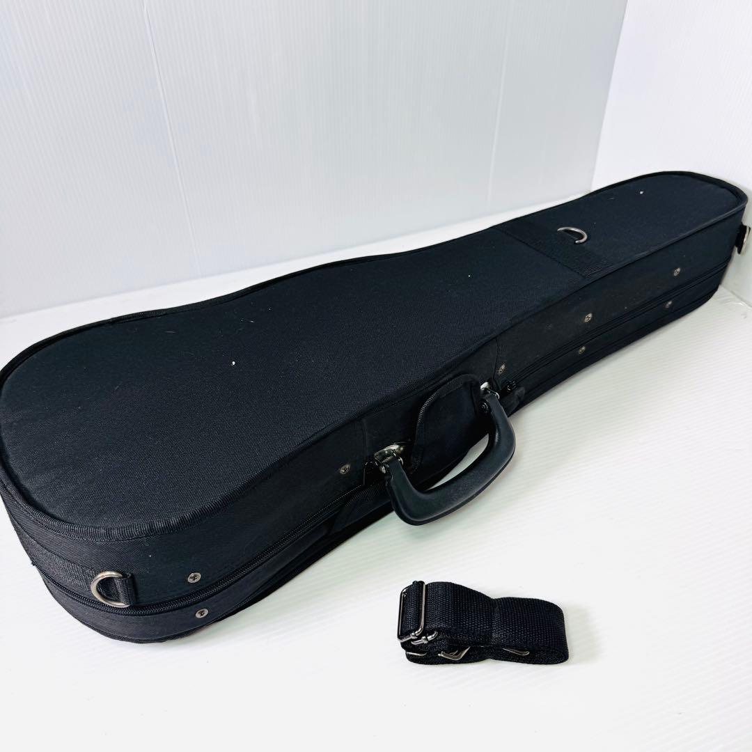 【美品】バイオリン　Andreas Eastman VL80 4/4 2015年