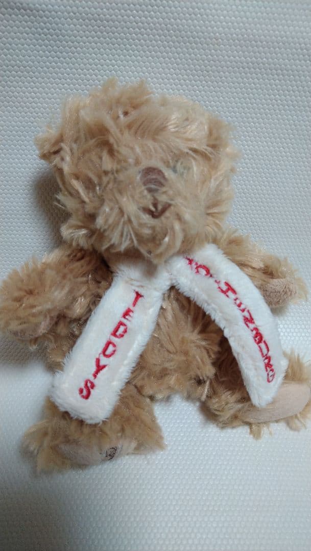 Teddys Rothenburg テディベア　BUkOWSKi ぬいぐるみ