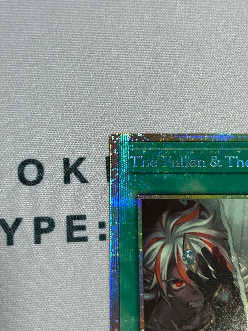 the fallen & the virtuous プリシク