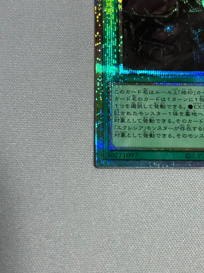 the fallen & the virtuous プリシク