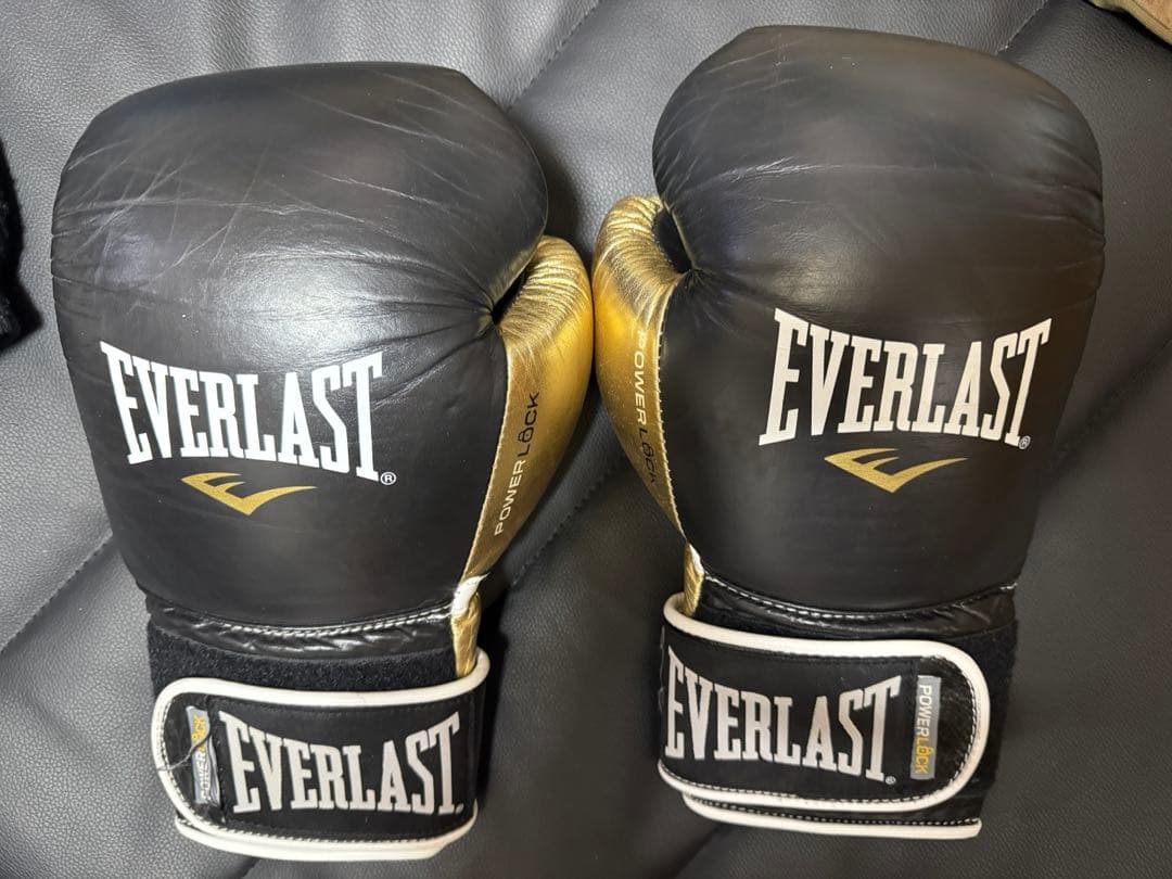 Fairtex ローキックパッド 青 ムエタイ キックボクシング 左右セット