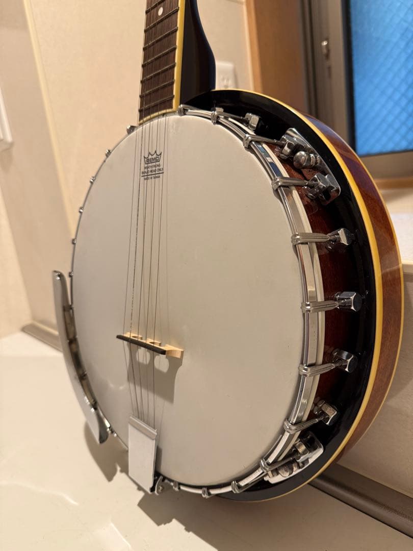 Aria アリア 5弦 バンジョー ハードケース付