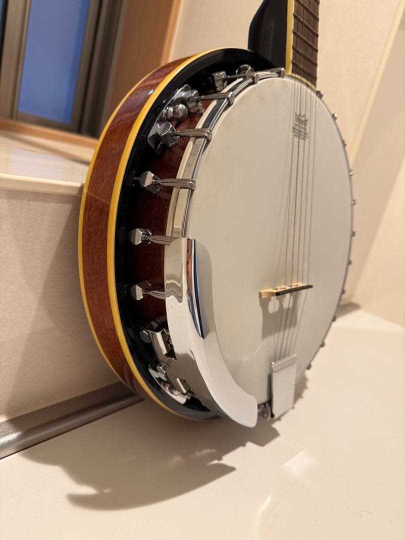 Aria アリア 5弦 バンジョー ハードケース付