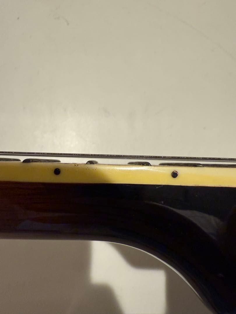 Aria アリア 5弦 バンジョー ハードケース付