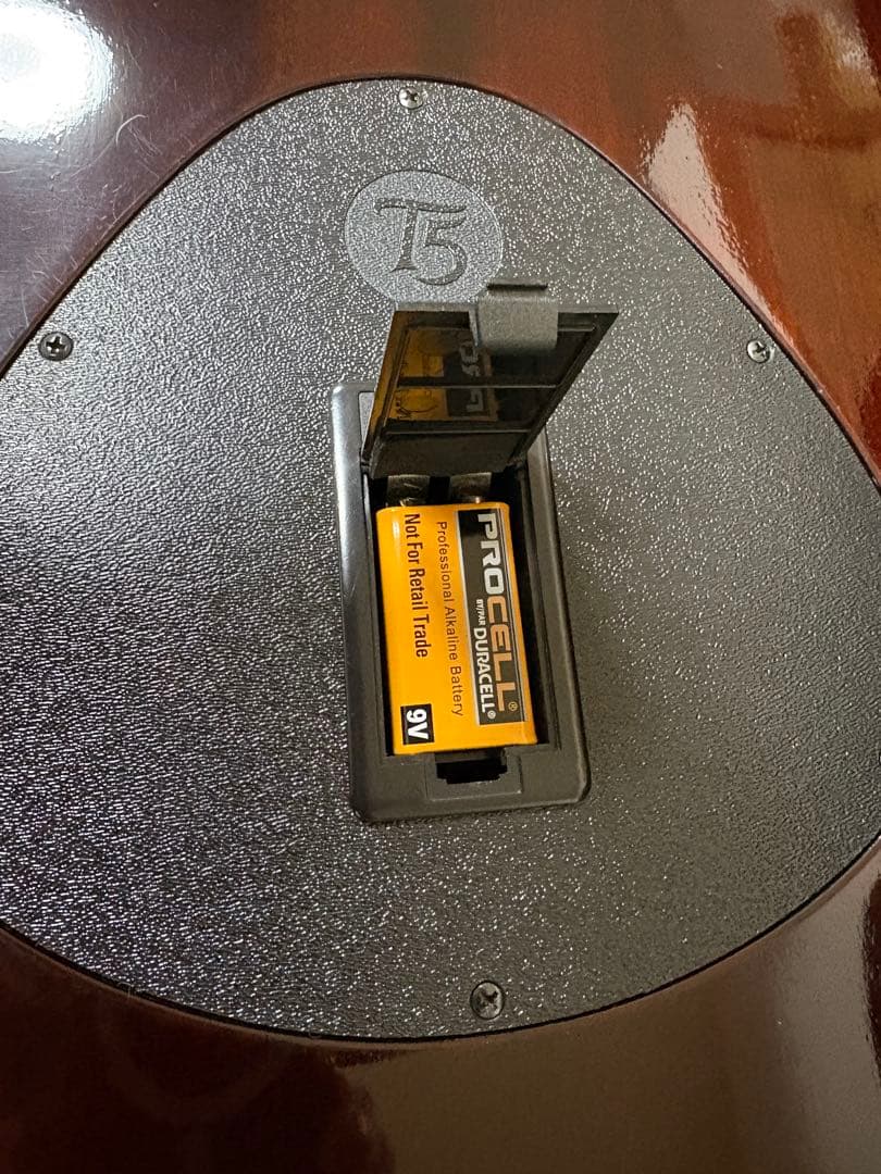 Taylor T5-C1 メンテナンス済み 基盤・配線新品 - メルカリ