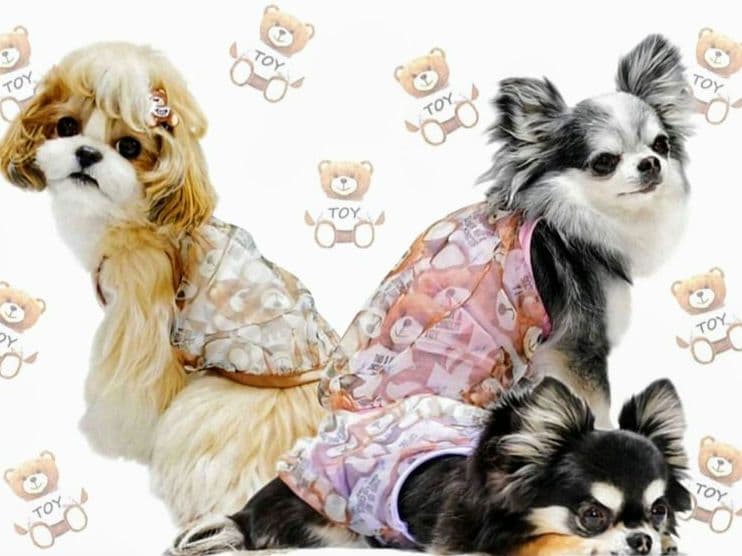 A XS4点セット+クッション サーカスサーカスCIRCUSCIRCUS