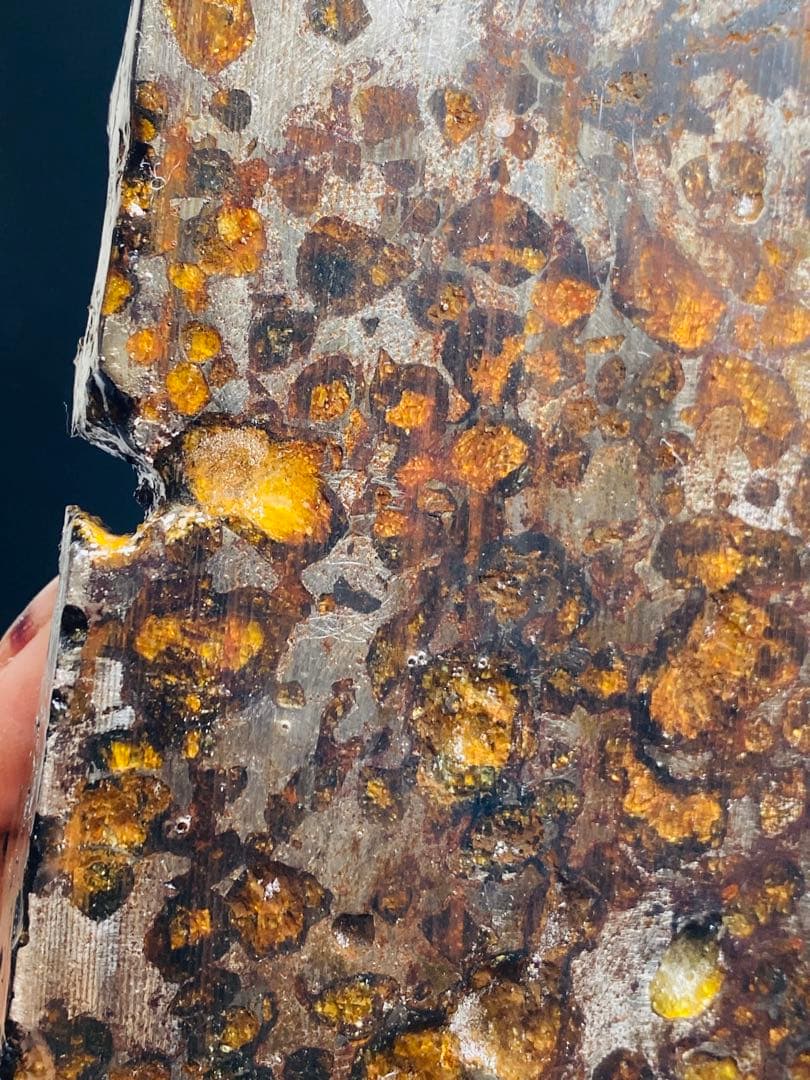 鑑別書付き』パラサイト隕石 690g 隕石 石鉄隕石 163㍉ メテオライト