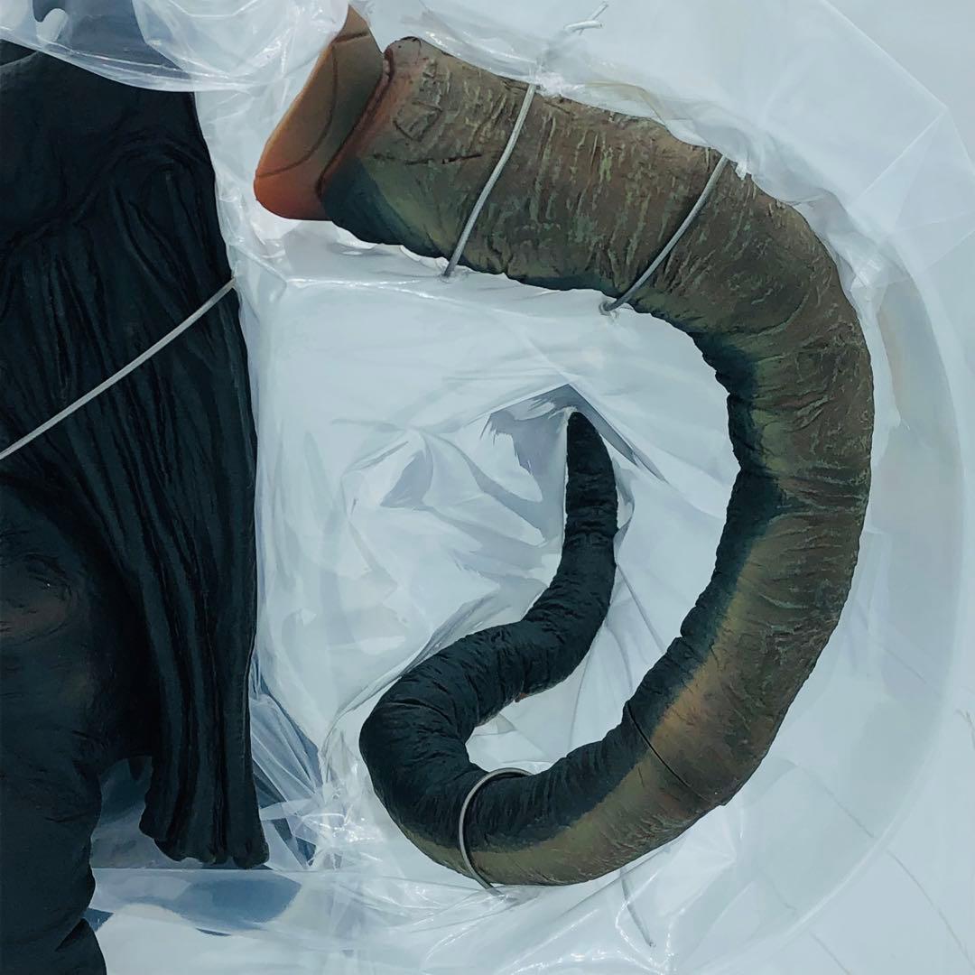 エクスプラス 大怪獣シリーズ ウルトラセブン編 豪力怪獣 アロン 少年リック限定