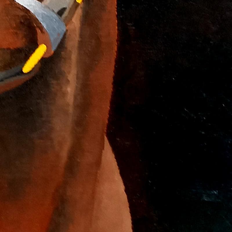 ☆三浦雅俊☆「 馬 」油絵　F6号