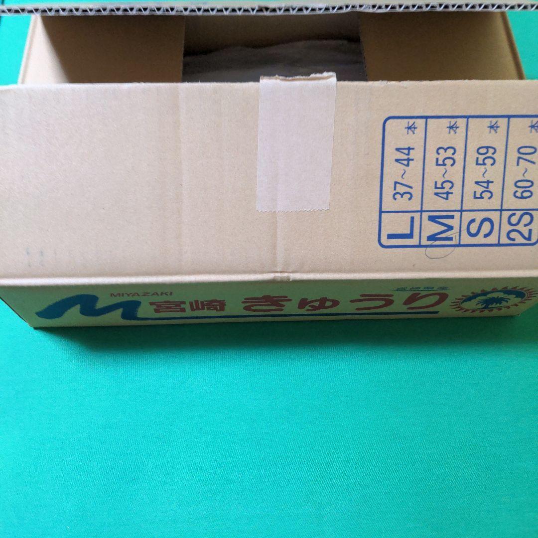 【中古美品】海馬セット　ブルーアイズ3枚