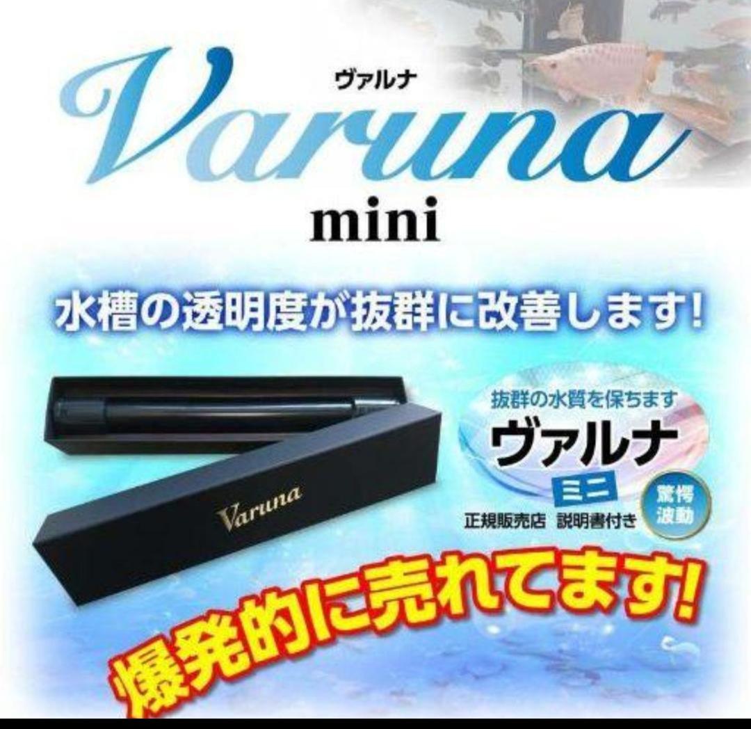 水替え不要になります【ヴァルナ】有害物質を抑制し透明度抜