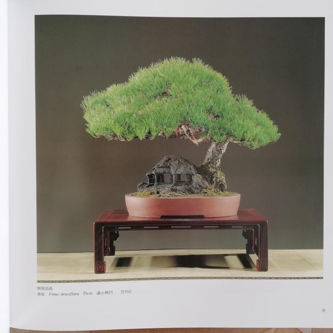 ✨国風盆栽展✨第65～73回✨9冊 写真集