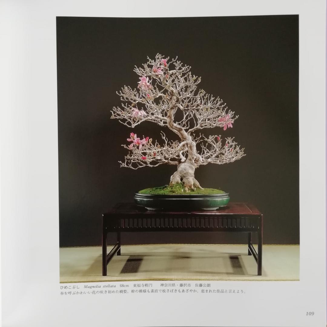 ✨国風盆栽展✨第65～73回✨9冊 写真集