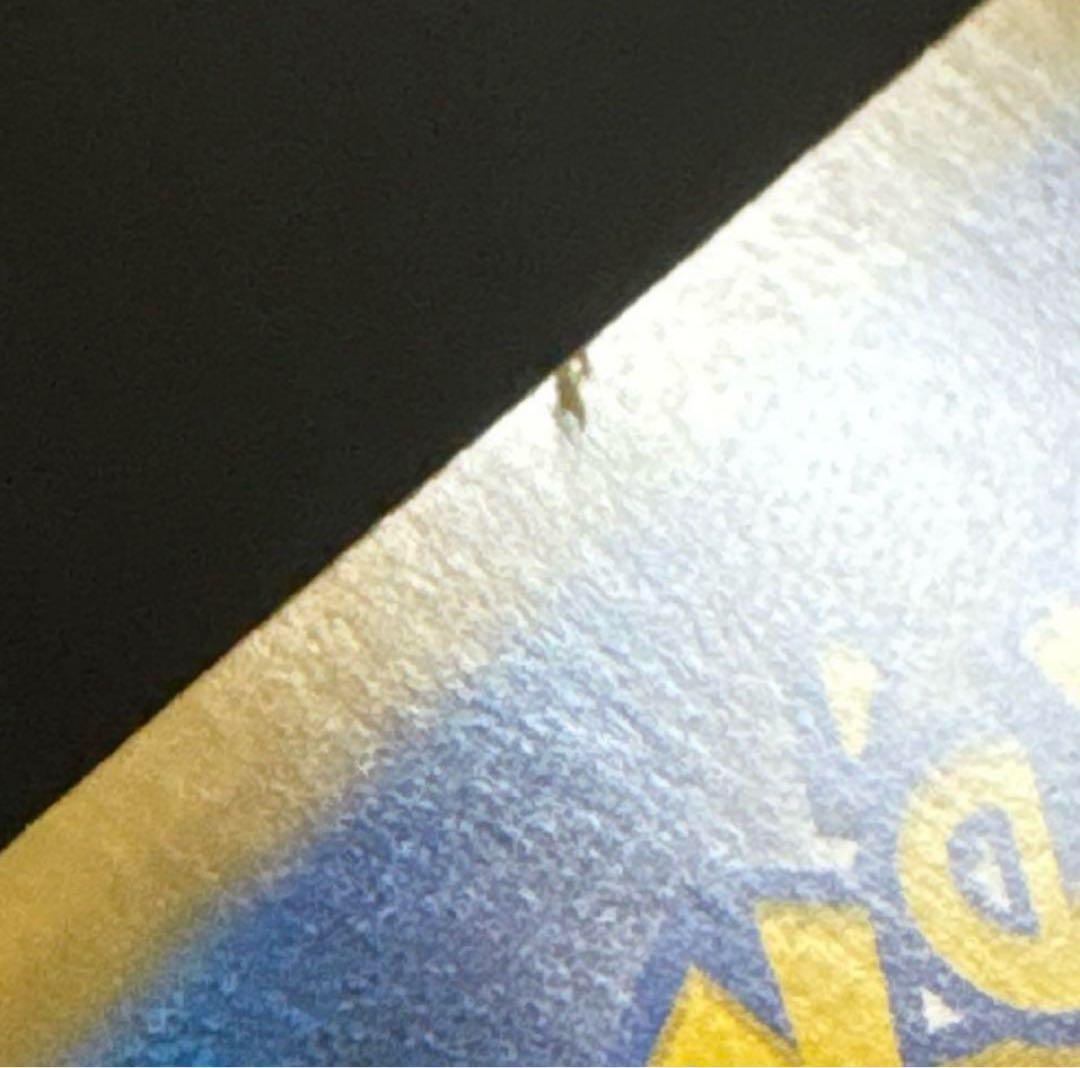 ゆ*迎様 メガリザードンXex SAR インフェルノX