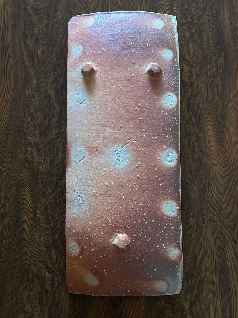 信楽焼 Shigaraki 特大皿 2枚組 井村侊生 P06