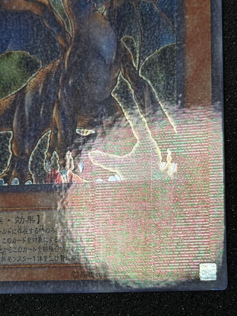 確認用　タイラント・ドラゴン