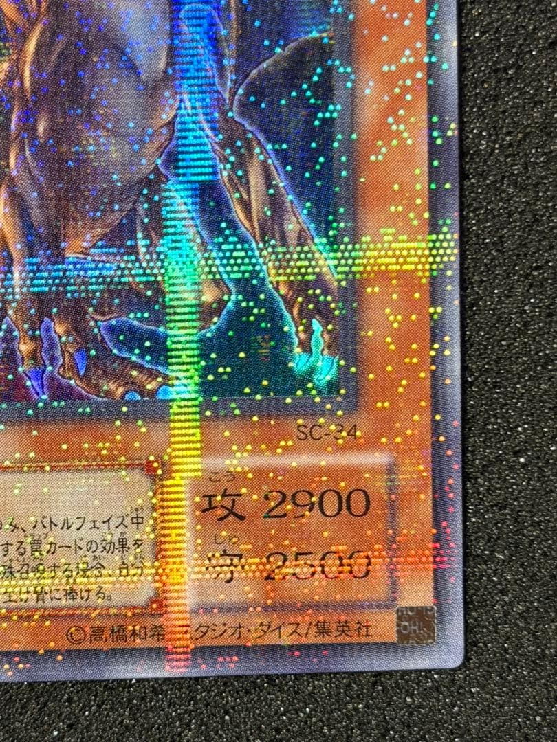 確認用　タイラント・ドラゴン