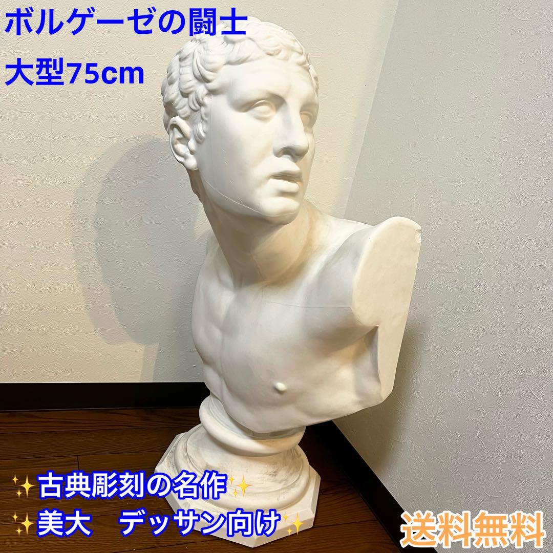 美品】大型75cm 石膏像 ボルゲーゼの闘士 胸像 デッサン像 美大 - メルカリ