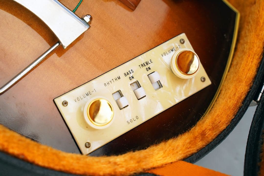 ジャパンヴィンテージ バイオリンベース ハードケース付属