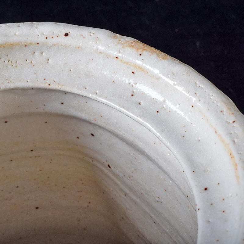 Gojyo様専用人間国宝荒川豊蔵作 絵志野 水指 仕覆付 共箱 D R8739B