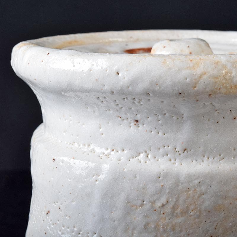 Gojyo様専用人間国宝荒川豊蔵作 絵志野 水指 仕覆付 共箱 D R8739B