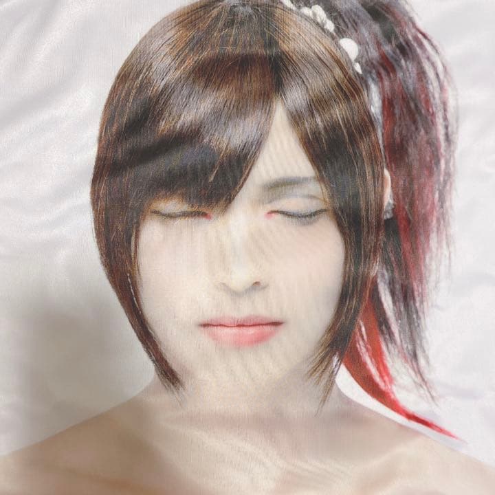 真天地開闢集団-ジグザグ 龍矢