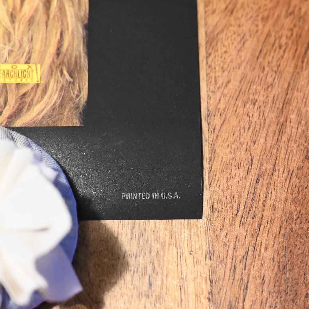 映画館用両面ポスター】犬ヶ島 Ver.B ウェス・アンダーソン監督 *希少*