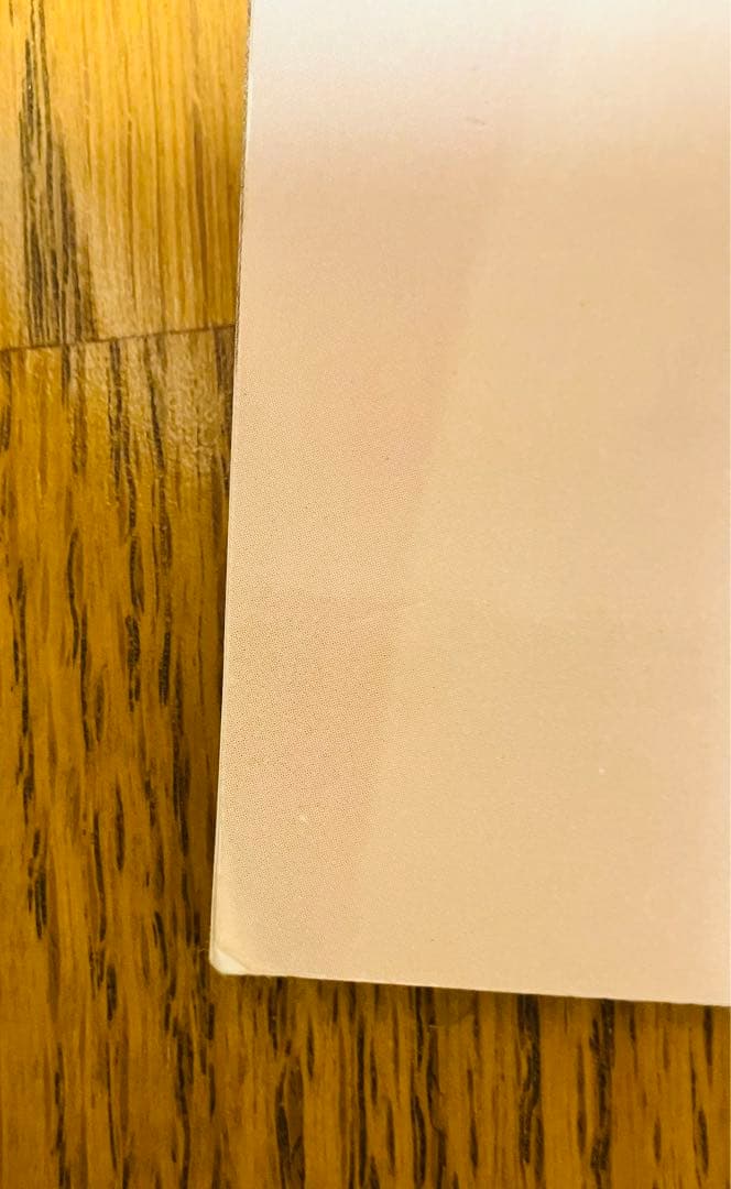 MARIAH CAREY マライア・キャリー1998年 コンサート パンフレット