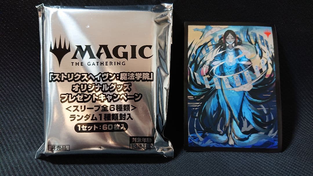 ストリクスヘイヴン 時間のねじれ カードスリーブ MTG 未使用 60枚