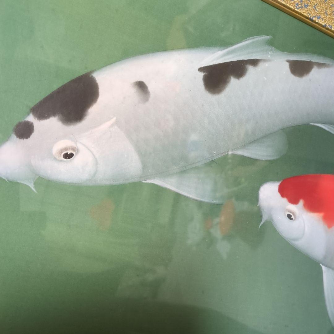 恩田華秀 鯉図 額装 遊鯉図 錦鯉 レトロ ビンテージ額 絹本肉筆