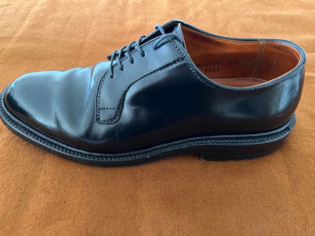 Alden 9901 コードバン6E
