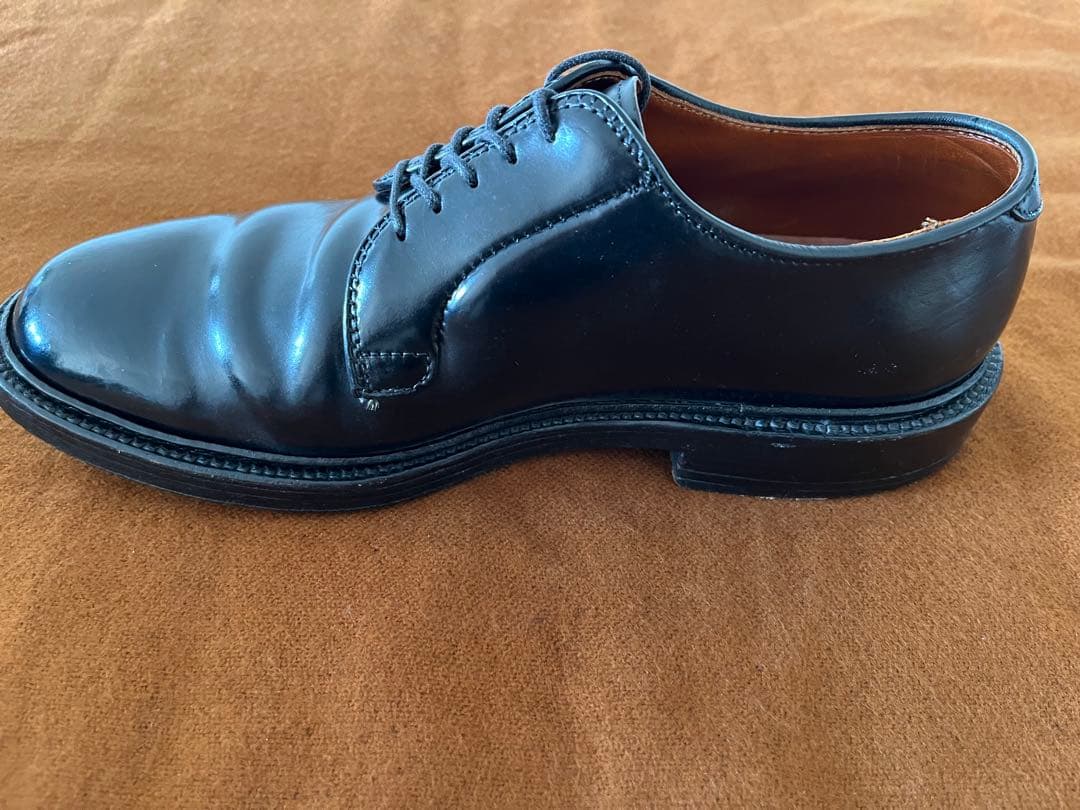 Alden 9901 コードバン6E