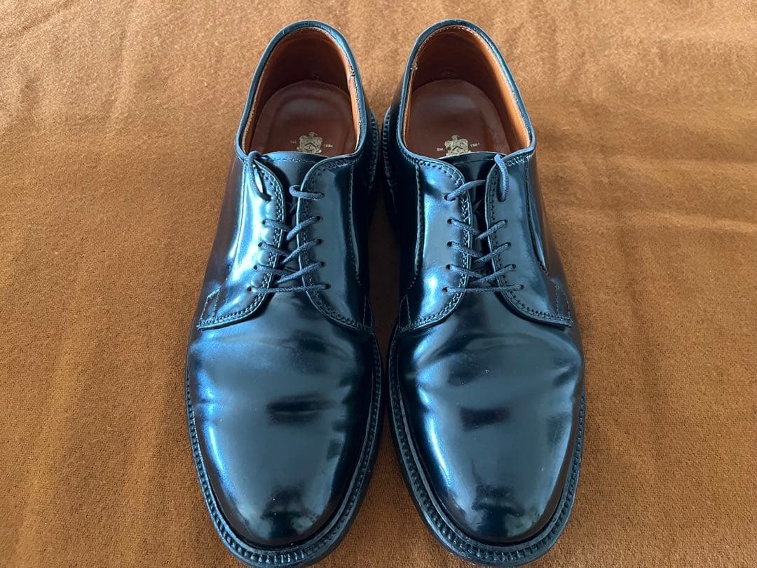 Alden 9901 コードバン6E