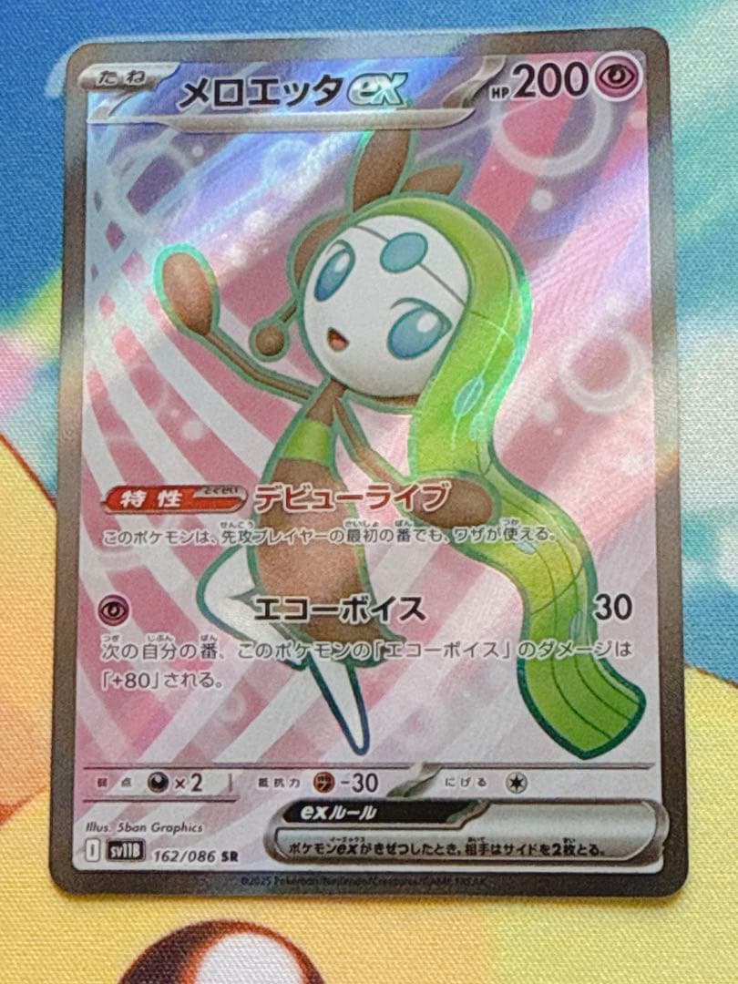 ポケモンカード ブラッキー リーリエの決心 メガルカリオ トウコ 他10枚セット