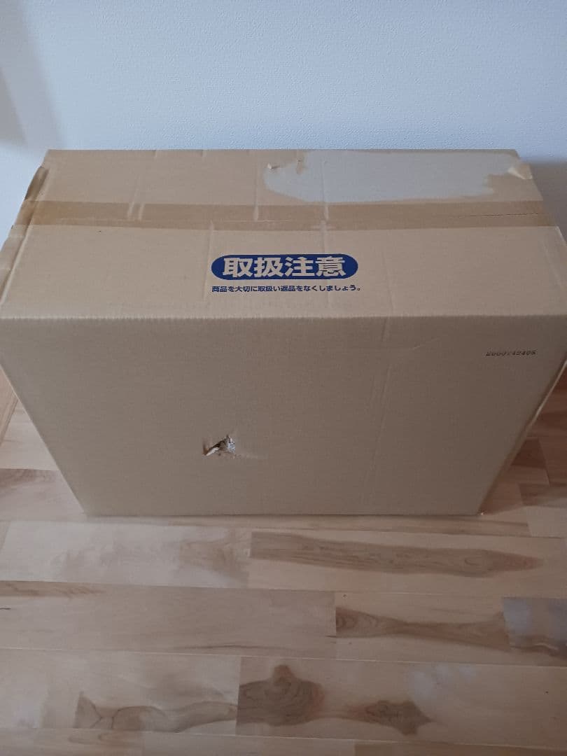 本日am限定値引　外箱ダメージ有　PG ペルフェクティビリティ