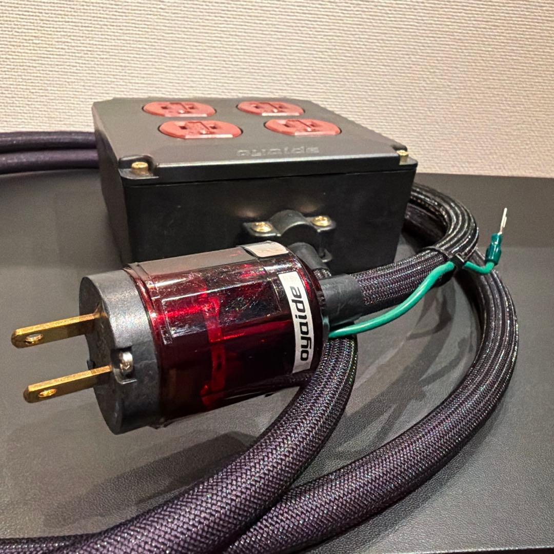 OYAIDE / OCB-1 AX 2.0m 2P特注仕様