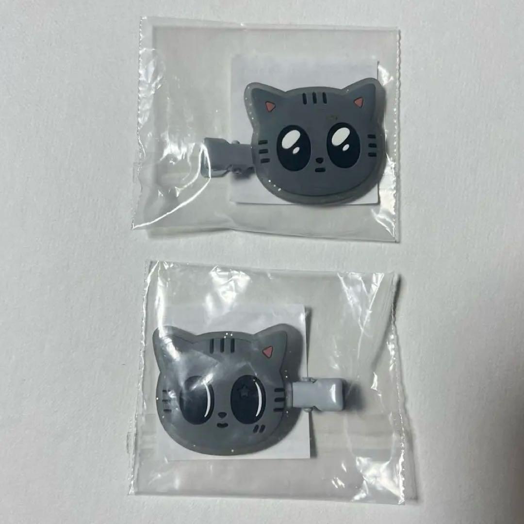 TXT テヒョン ダゴニャン act カプセルトイ ヘアクリップ 2種 - メルカリ