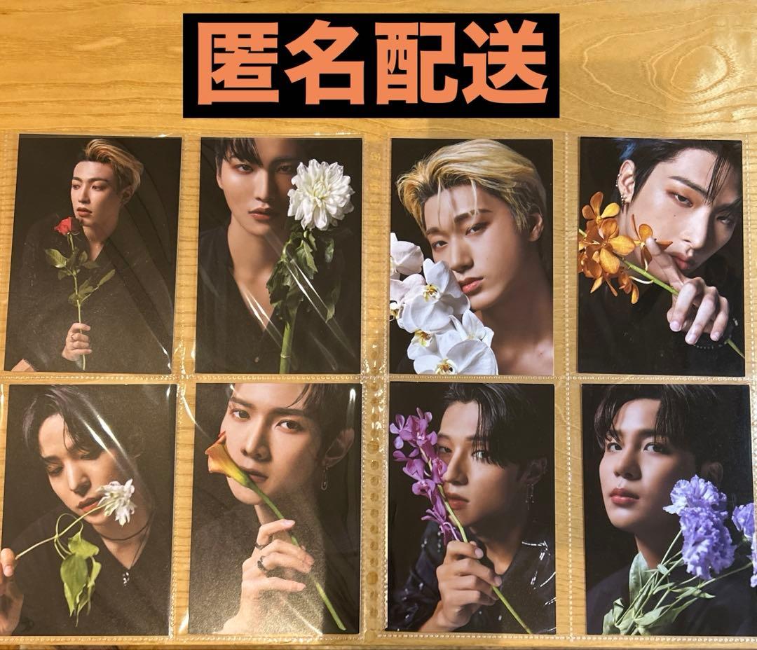 ATEEZ scawaii ポストカード コンプ 8枚セット ATEEZ scawaii ポストカード コンプ 8枚セット