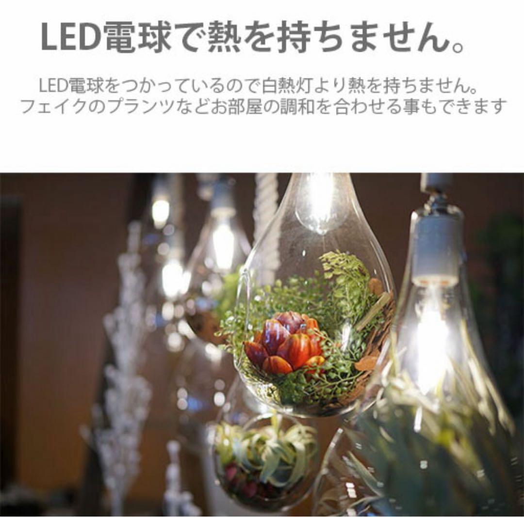 SWAN スワン電器 ボタニックハンギングライト(L)電球無 ハンギング 鉢